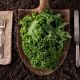 #298 THUR, 2/12/26 PLANT-BASED WINTER DETOX DEMONSTRATION 6:00 PM - 8:30 PM