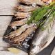 #754 FRI, 6/20/25 SUMMER FOODS & 4-WINES NY FNGR LAKES DEMO 6 - 8:30PM NO BYOB