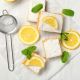 #766 SUN, 6/29/25 LEMONY TIDBITS DEMONSTRATION 1:00 - 3:00 PM BYOB