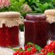 #132 TUES, 9/30/25 BACK TO BASICS: SOUTHERN PRESERVING DEMO 10:00 AM - 1:00 PM