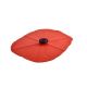 POPPY OBLONG LID 10X14(red)