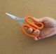 UNIVERSAL KITCHEN SCISSOR